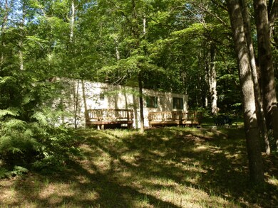173 E Forest Trail, Le Roy, MI 49655 - photo 3