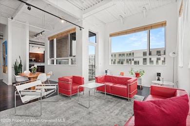 361 Robinson St unit 238, Basalt, CO 81621 - photo 3