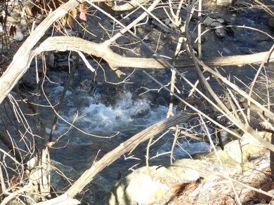 18 - Ravine bubbling water close up