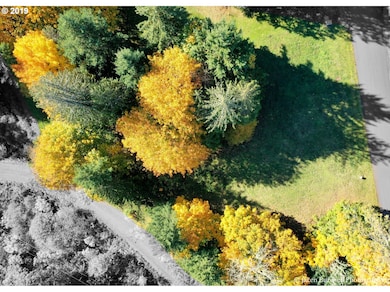 4 Briarwood Dr unit 4, Scappoose, OR 97056 - photo 7