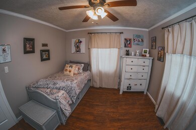 8704 Sevierville Pike, Knoxville, TN 37920 - photo 6