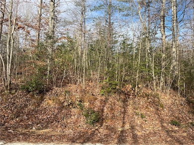 View from Choehee Valley Rd side of the 3.41 acres