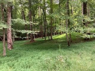 LT 3505R Castle Ct, Ellijay, GA 30540 - photo 7