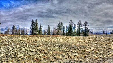 46 Red Bird Ln, Como, CO 80432 - photo 7