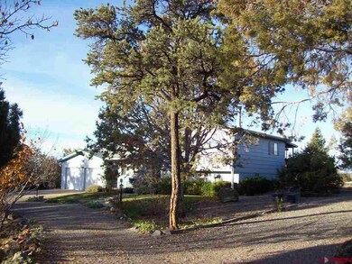 0 NE Ginters Grove Ln unit 686851, Cedaredge, CO 81413 - photo 2