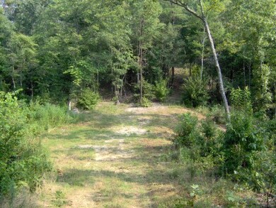 0 Old Stage Coach Rd unit 750408, Rutledge, TN 37861 - photo 3