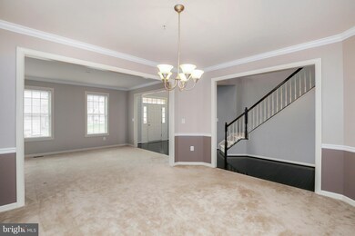 1107 Verbena Ct, Silver Spring, MD 20906 - photo 6