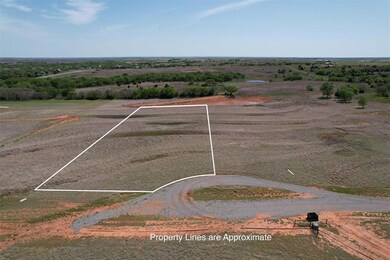 Drone / aerial view featuring a rural view