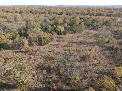 323 Brooken Mtn Rd, Stigler, OK 74462 - photo 5