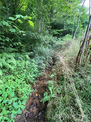 99999 Tweed Rd, Leicester, NC 28748 - photo 4