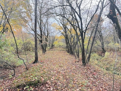 2117 Route 666, Sheffield, PA 16347 - photo 5