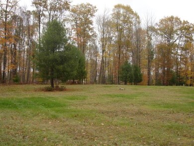 Cleared Area