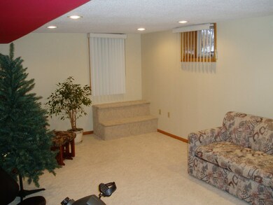 Basement Family Room