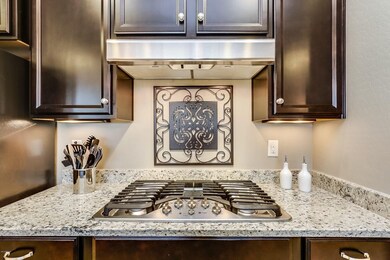 Gas Cook Top