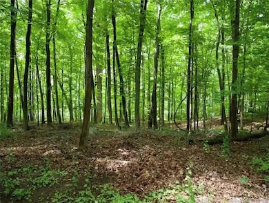 0 Mountain Rd, Wilton, CT 06897 - photo 3