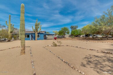 04-Palo Verde