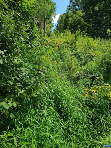 0 Shifflett Rd unit 634201, Dyke, VA 22935 - photo 3