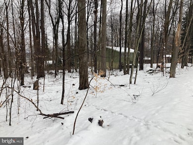 11 Mohican Trail, Tobyhanna Township, PA 18347 - photo 4