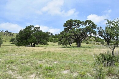 137 Soaring Eagles Dr unit 7, Fredericksburg, TX 78624 - photo 6