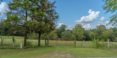 0 State Hwy E, Oak Ridge, MO 63769 - photo 5