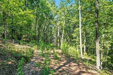 0 Debord Dr unit 7641111, Waleska, GA 30183 - photo 7