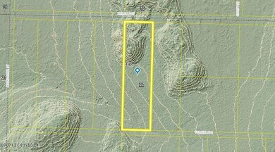 Tr7 Tomski, Anchor Point, AK 99556 - photo 3