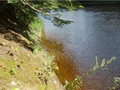 0 River Rd unit 4672950, Plymouth, NH 03264 - photo 6