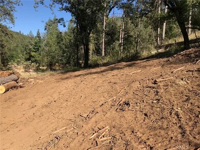 Lot has been partially cleared so you can have an idea where you can build.