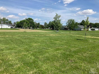 TBD First, Minden City Vlg, MI 48456 - photo 5