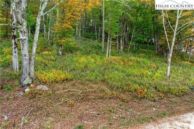 R-7 Eagle Camp Overlook, Banner Elk, NC 28604 - photo 2