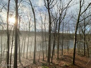 116 Saddle Brook Ln, Hawley, PA 18428 - photo 2