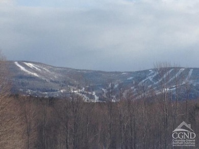 5359 Main St unit 2C, Windham, NY 12496 - photo 4