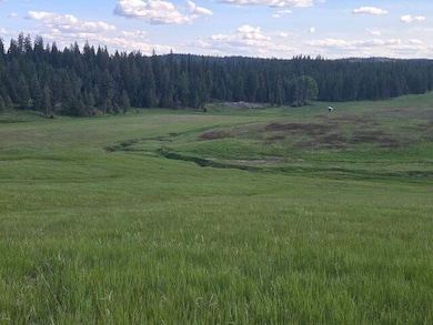 5266 Wagner Rd, Springdale, WA 99173 - photo 2