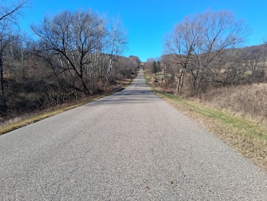 L600 N Dutch Hollow Rd, La Valle, WI 53941 - photo 4