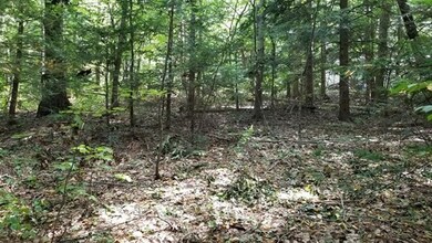 00 Red Cedar Rd, Woodstock Valley, CT 06282 - photo 6