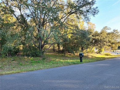 1329 N Mediterranean Way, Citrus Hills, FL 34453 - photo 4