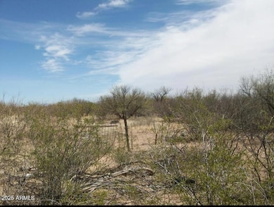 17515 W Western Star Trail, Three Points, AZ 85735 - photo 3