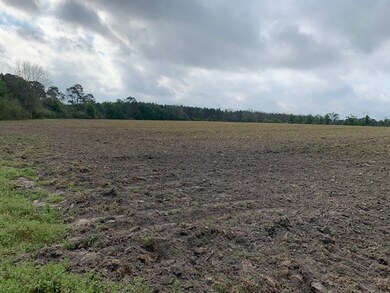 0 Mcmillan Rd, Ochlocknee, GA 31773 - photo 7