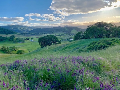 0 Hayes Ln unit ML82019382, San Martin, CA 95046 - photo 6