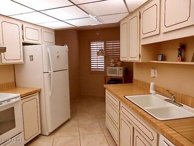 13832 N 109th Ave, Sun City, AZ 85351 - photo 4