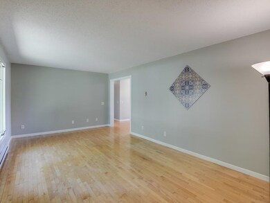 Large bay windows let in the natural light.  Maple