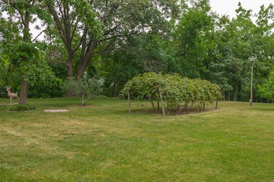 406 W Main St, Downs, IL 61736 - photo 2