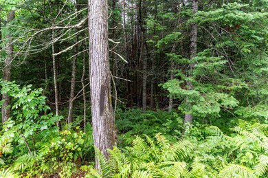 00 Clarks Landing Rd unit 160/032/000, Moultonborough, NH 03254 - photo 5