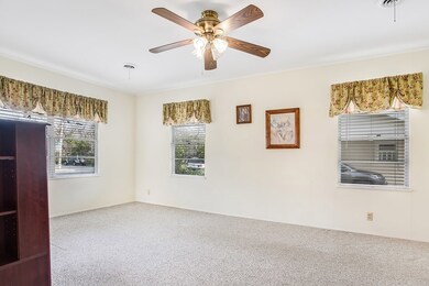 219 W Morse St, Fredericksburg, TX 78624 - photo 4