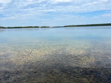 0 S Coryell Island unit 23-1152, Cedarville, MI 49719 - photo 6