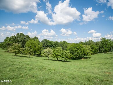 50_MAX_0118_HDR_mls