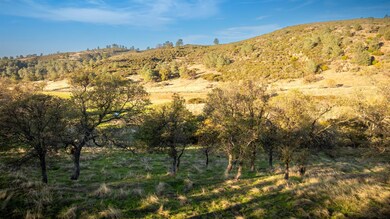 0 Faith Lynn unit 202501963, Valley Springs, CA 95252 - photo 5