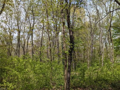 47040 Y and O Rd, East Liverpool, OH 43920 - photo 6