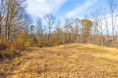 0 Hambel Rd, Union Township, OH 43758 - photo 5