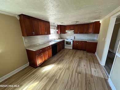 17180 Barnes Dr, Laurinburg, NC 28352 - photo 3